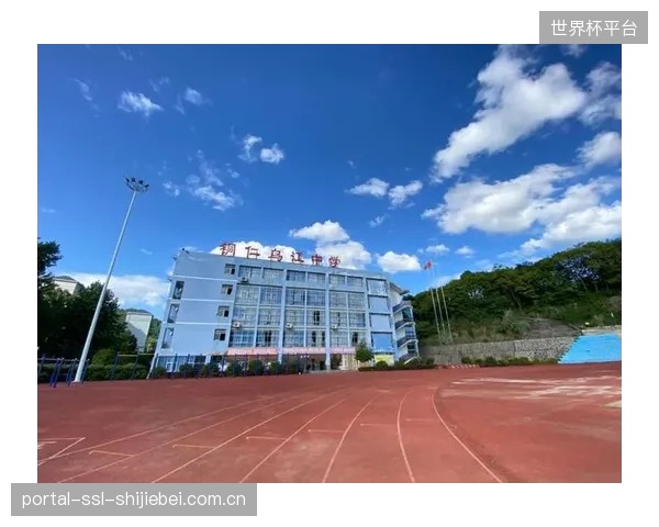 初期建设中，优先选择网络基础好的学校部署系统，这种“锦上添花”是否加剧了教育资源分配的马太效应？